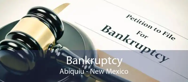 Bankruptcy Abiquiu - New Mexico
