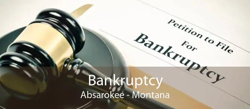Bankruptcy Absarokee - Montana