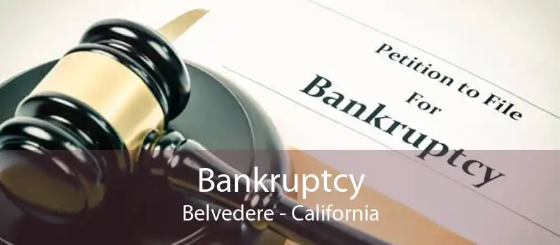 Bankruptcy Belvedere - California