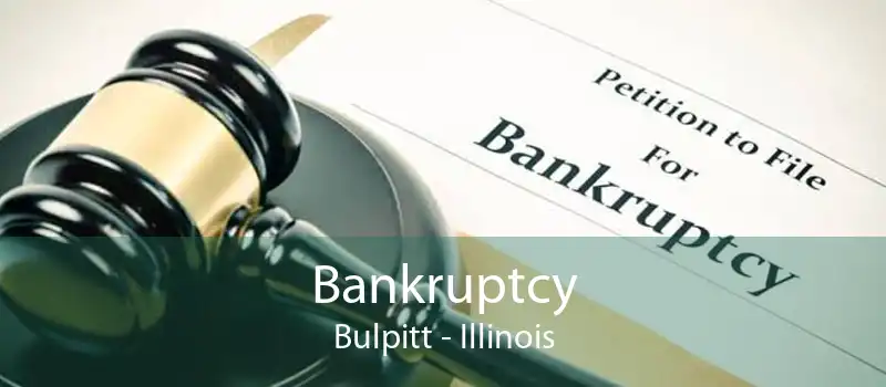 Bankruptcy Bulpitt - Illinois
