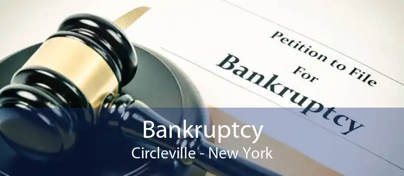 Bankruptcy Circleville - New York