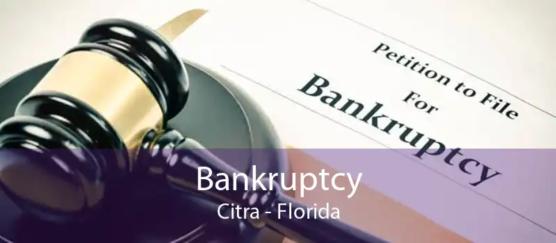 Bankruptcy Citra - Florida