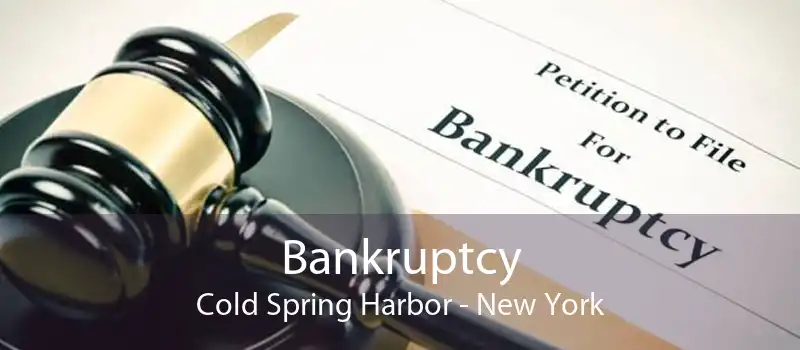 Bankruptcy Cold Spring Harbor - New York
