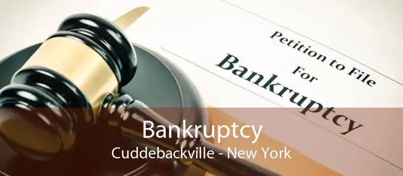 Bankruptcy Cuddebackville - New York