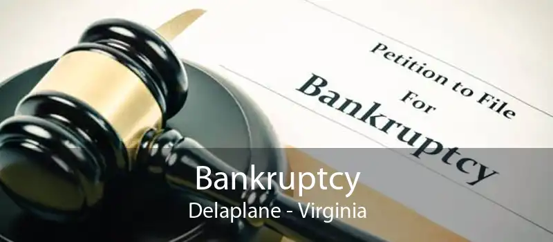 Bankruptcy Delaplane - Virginia