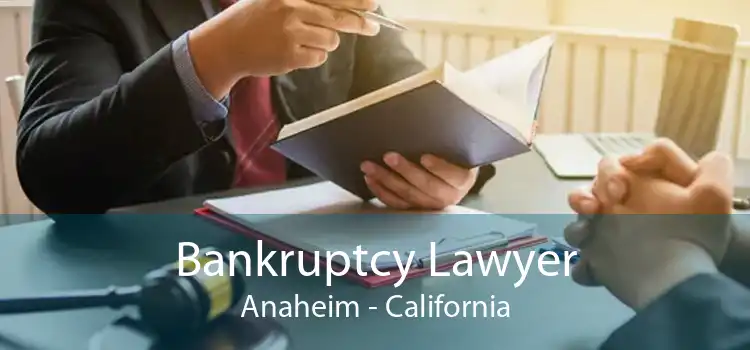 Bankruptcy Lawyer Anaheim - California