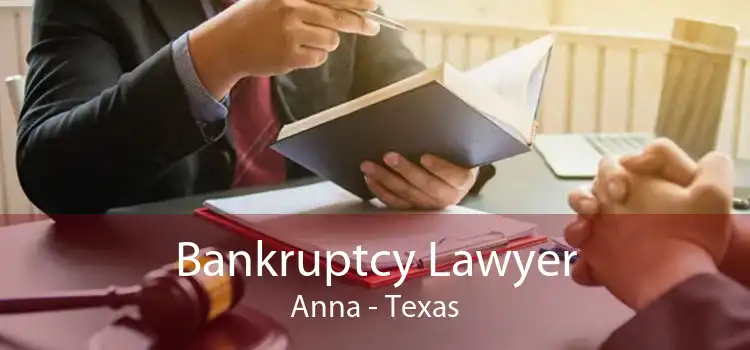 Bankruptcy Lawyer Anna - Texas