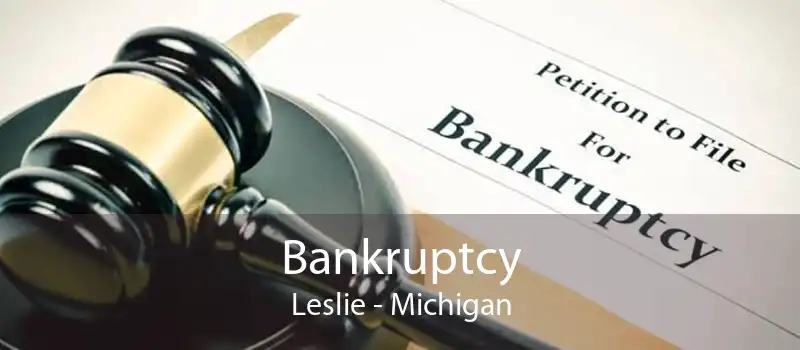 Bankruptcy Leslie - Michigan