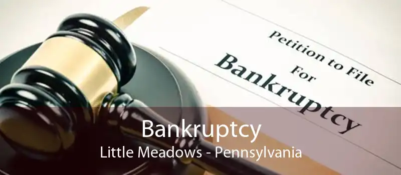 Bankruptcy Little Meadows - Pennsylvania