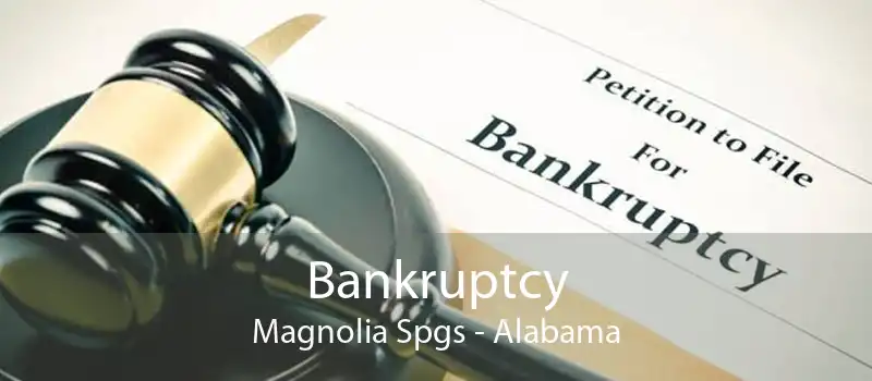 Bankruptcy Magnolia Spgs - Alabama
