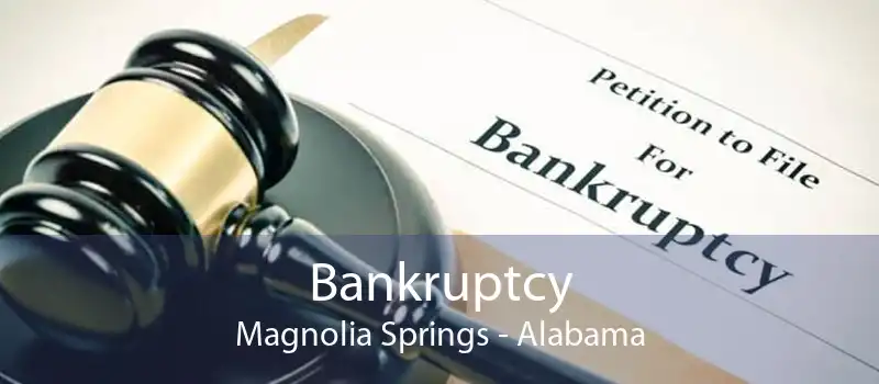 Bankruptcy Magnolia Springs - Alabama