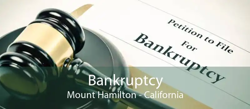Bankruptcy Mount Hamilton - California