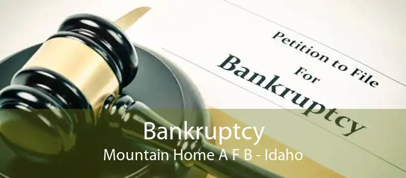 Bankruptcy Mountain Home A F B - Idaho