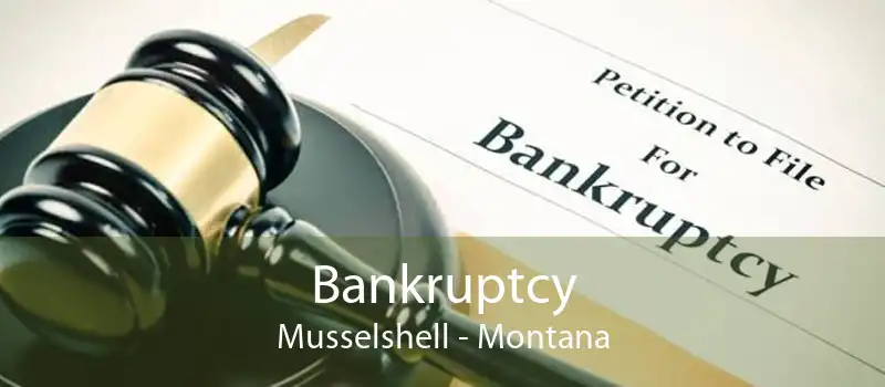 Bankruptcy Musselshell - Montana