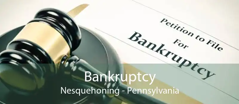 Bankruptcy Nesquehoning - Pennsylvania