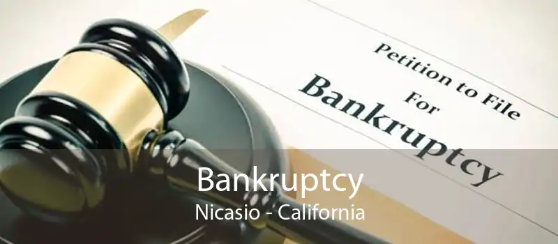 Bankruptcy Nicasio - California