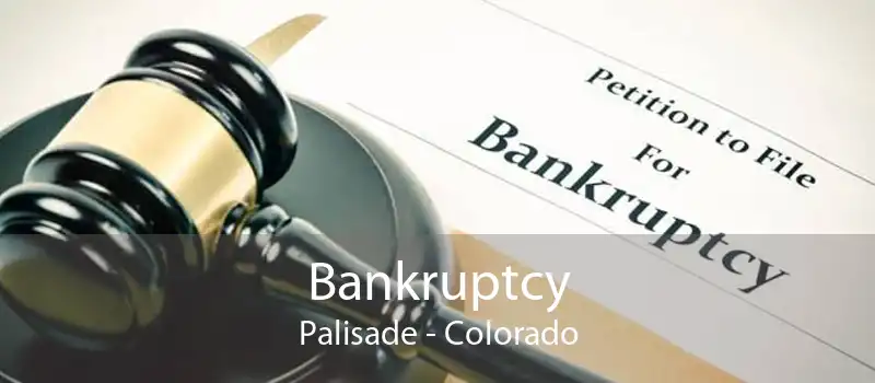 Bankruptcy Palisade - Colorado