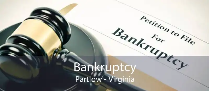 Bankruptcy Partlow - Virginia