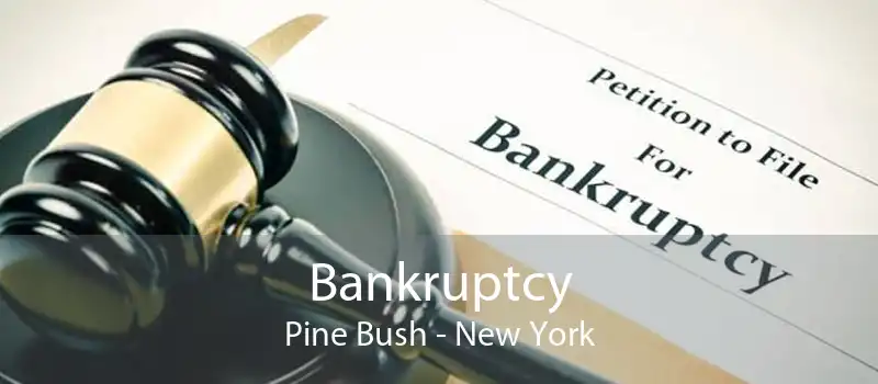Bankruptcy Pine Bush - New York