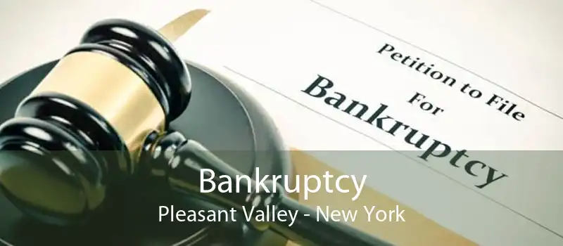 Bankruptcy Pleasant Valley - New York