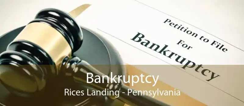 Bankruptcy Rices Landing - Pennsylvania