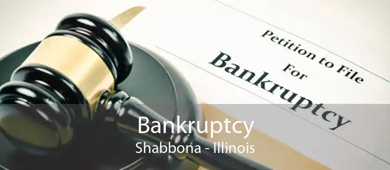 Bankruptcy Shabbona - Illinois