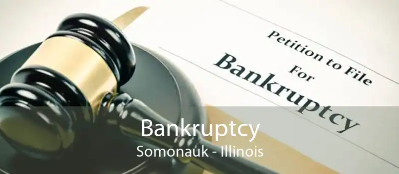 Bankruptcy Somonauk - Illinois