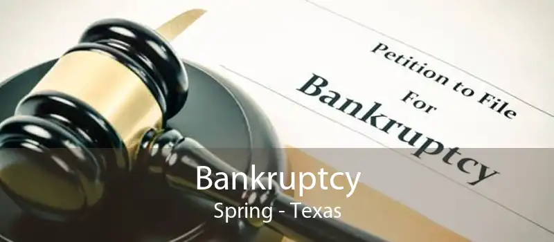 Bankruptcy Spring - Texas