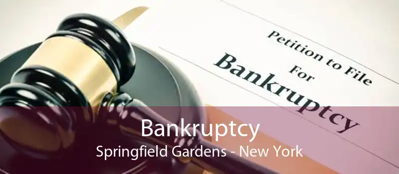 Bankruptcy Springfield Gardens - New York