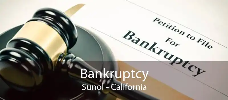 Bankruptcy Sunol - California