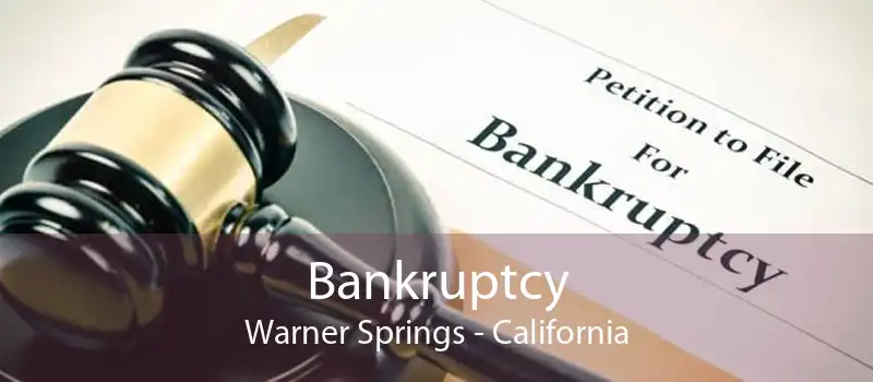 Bankruptcy Warner Springs - California