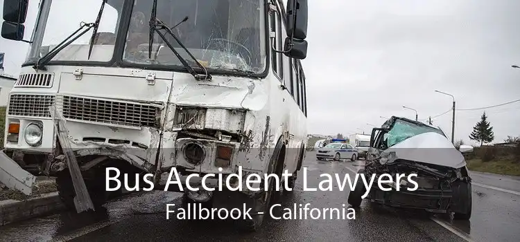Bus Accident Lawyers Fallbrook - California
