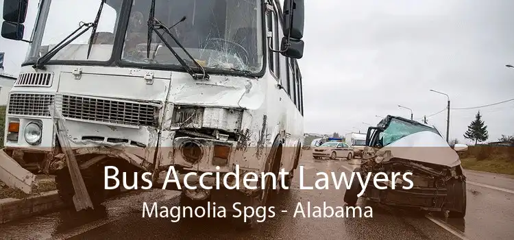 Bus Accident Lawyers Magnolia Spgs - Alabama