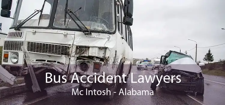 Bus Accident Lawyers Mc Intosh - Alabama