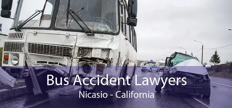 Bus Accident Lawyers Nicasio - California