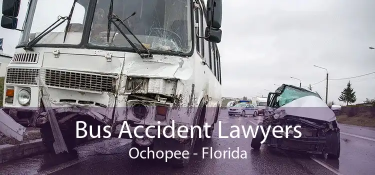 Bus Accident Lawyers Ochopee - Florida