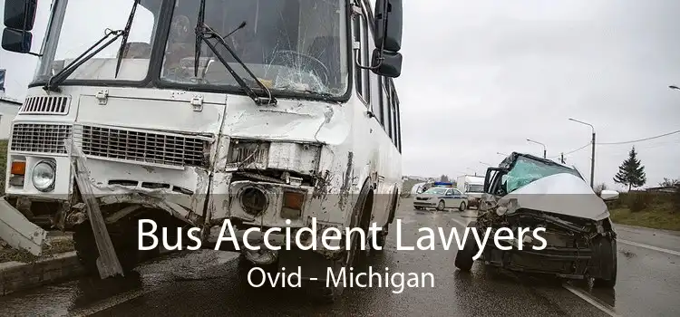 Bus Accident Lawyers Ovid - Michigan