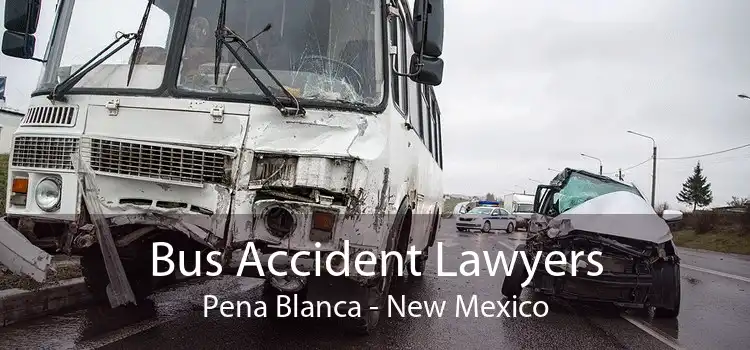 Bus Accident Lawyers Pena Blanca - New Mexico