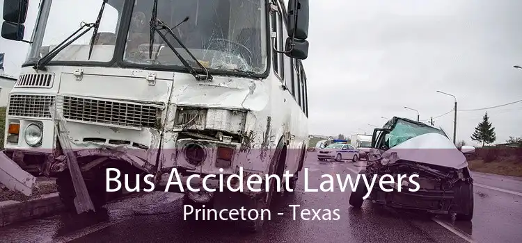 Bus Accident Lawyers Princeton - Texas