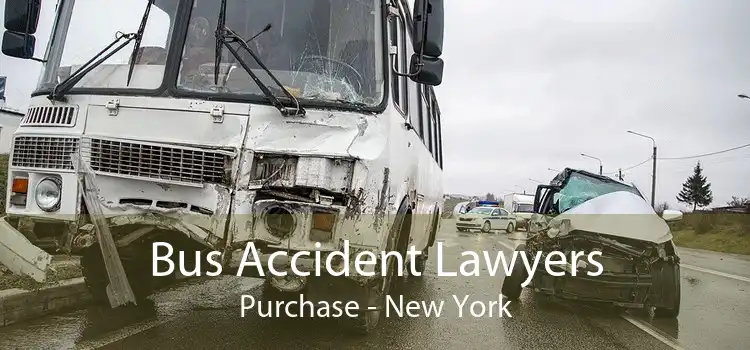 Bus Accident Lawyers Purchase - New York