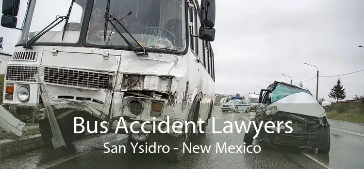 Bus Accident Lawyers San Ysidro - New Mexico