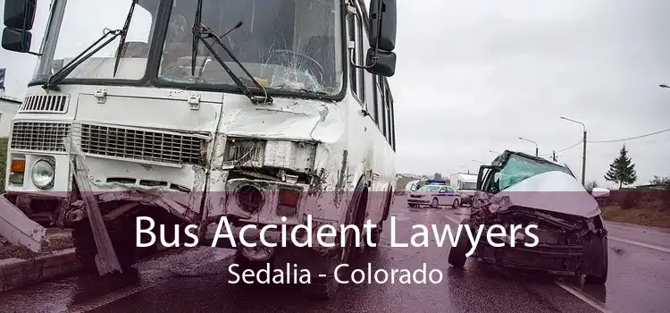 Bus Accident Lawyers Sedalia - Colorado