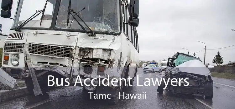 Bus Accident Lawyers Tamc - Hawaii