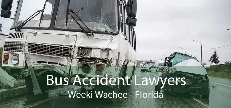 Bus Accident Lawyers Weeki Wachee - Florida