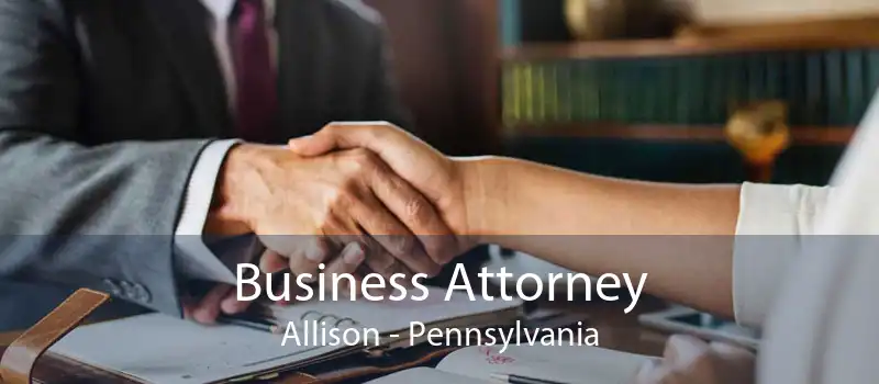 Business Attorney Allison - Pennsylvania