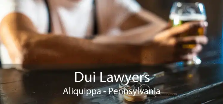 Dui Lawyers Aliquippa - Pennsylvania