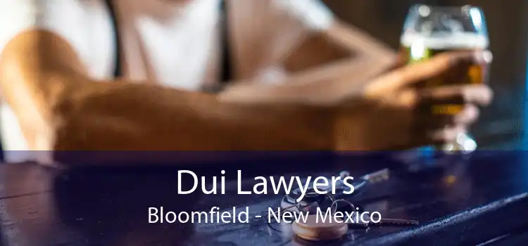 Dui Lawyers Bloomfield - New Mexico