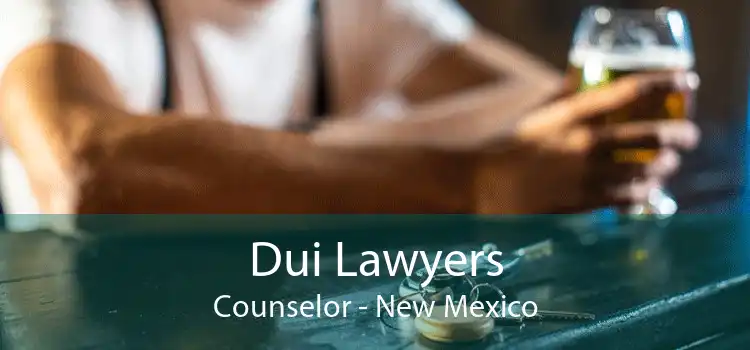 Dui Lawyers Counselor - New Mexico