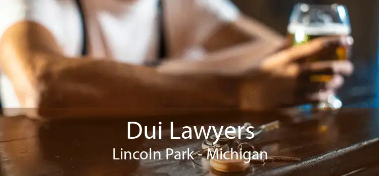 Dui Lawyers Lincoln Park - Michigan