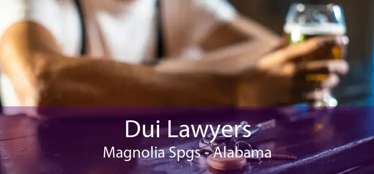 Dui Lawyers Magnolia Spgs - Alabama